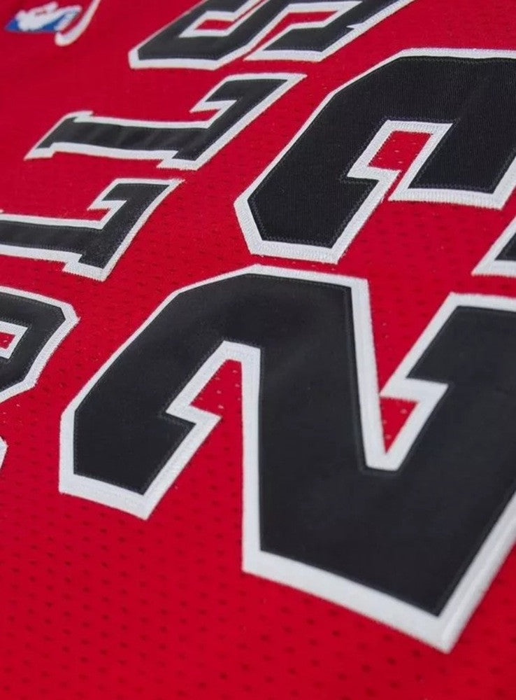 MICHAEL JORDAN SWINGMAN JERSEY | RED