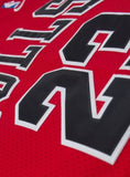 MICHAEL JORDAN SWINGMAN JERSEY | RED
